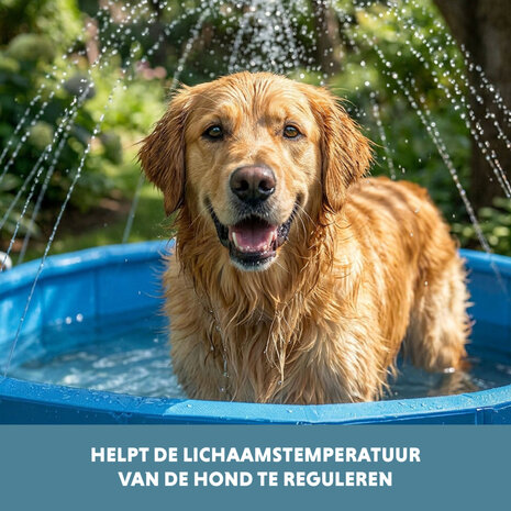 Coolpets Splash Sprinkler Pool 